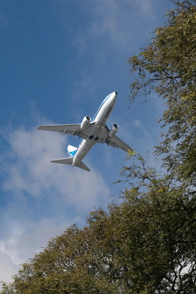 Commercial airplane soaring above trees in Buenos Aires against a bright blue sky.